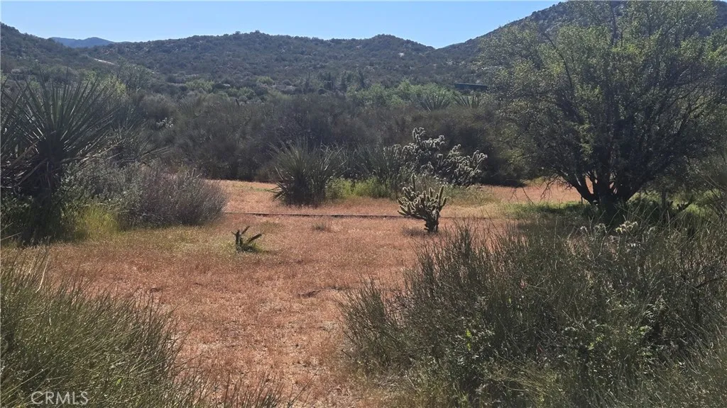0 Covered Wagon Trail Anza, CA 92539 - Photo 8 of 17