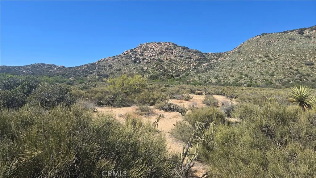 0 Covered Wagon Trail Anza, CA 92539 - Photo 10 of 17