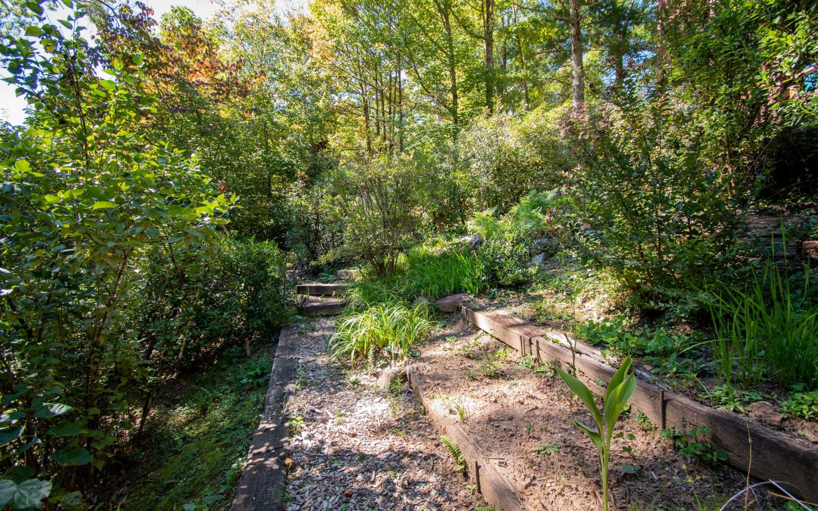 200 Black Bear Ridge Murphy, NC 28906 - Photo 33 of 33 Additional View
