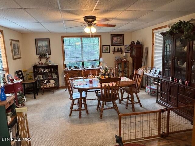 331 Briley Road Spring City, TN 37381 - Photo 19 of 32