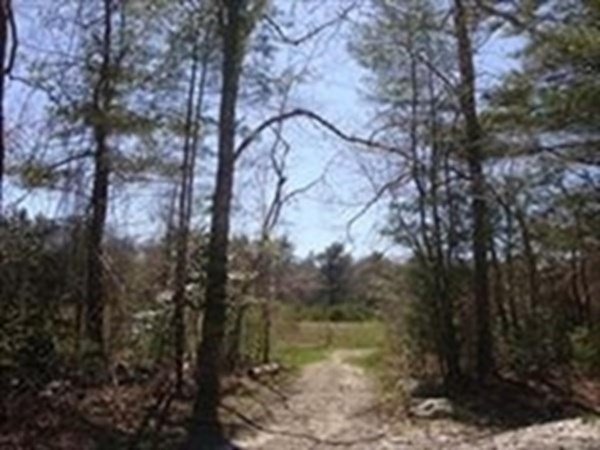 425 A Wareham Street Middleboro, MA 02346 - Photo 2 of 18 a view of lake with green space