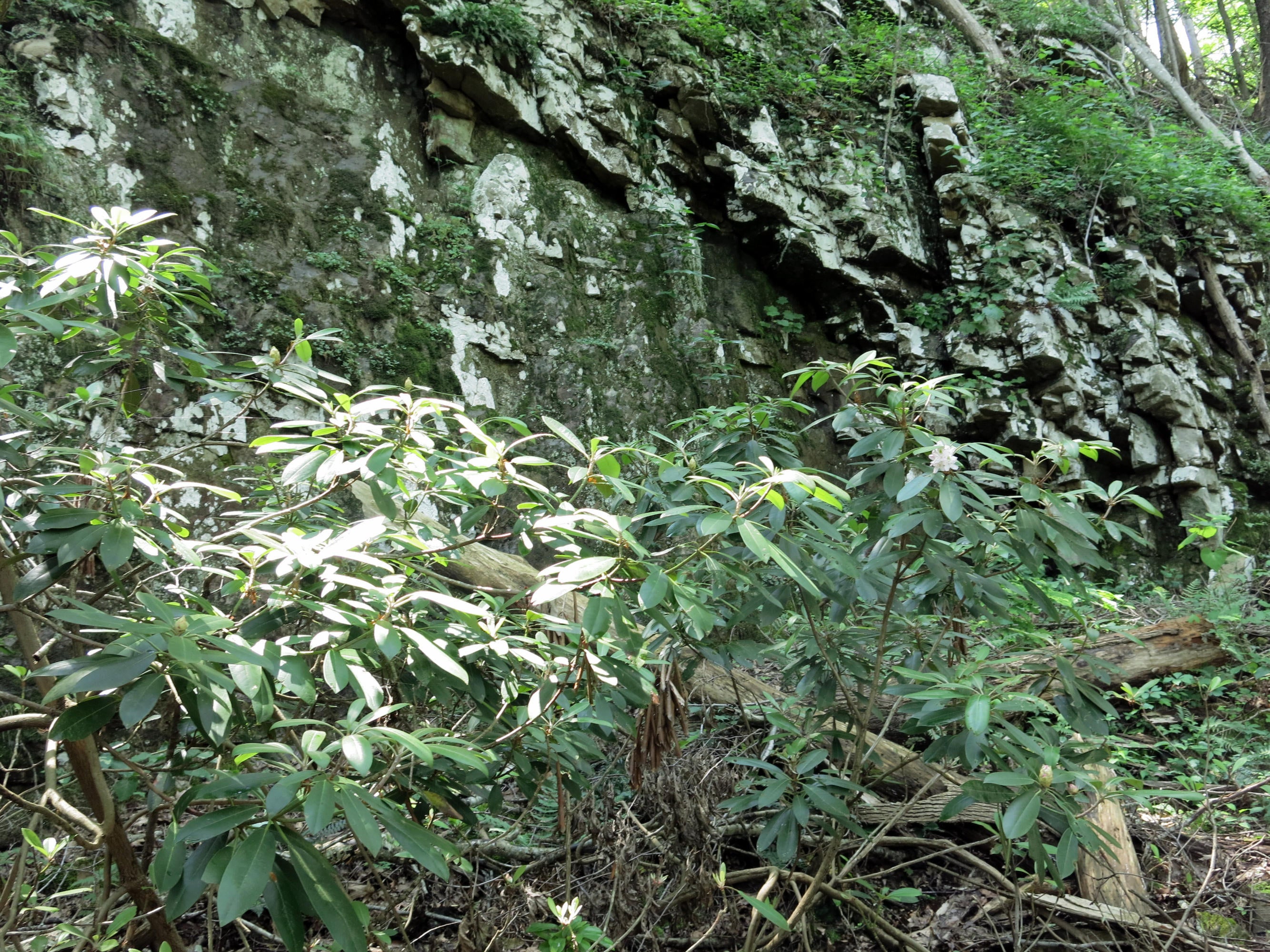 200 River Road Pipestem, WV 25979 - Photo 16 of 18 Gallery Image 16