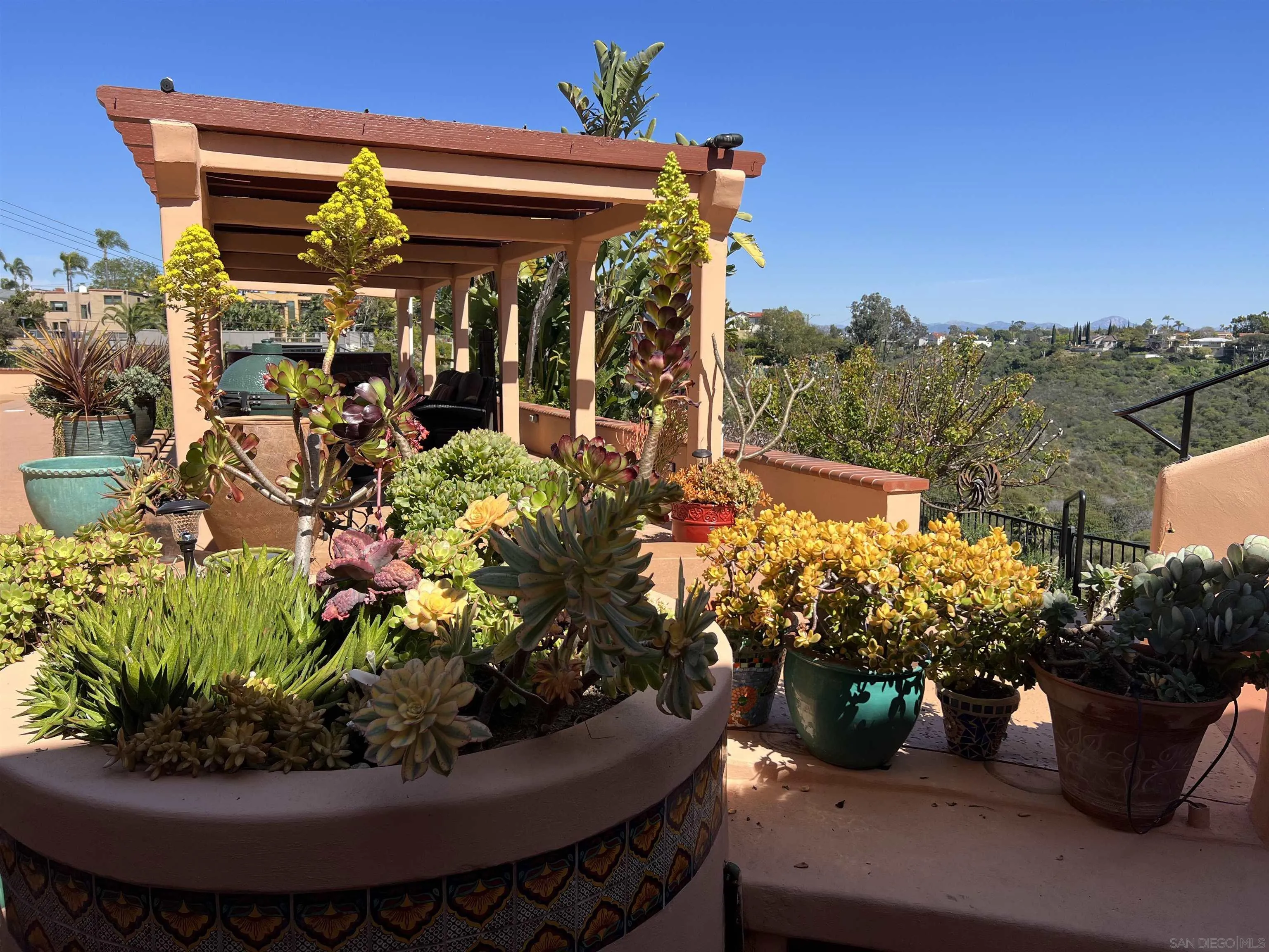 4196 Rochester Road San Diego, CA 92116 - Photo 47 of 72 a view of a flower in a yard