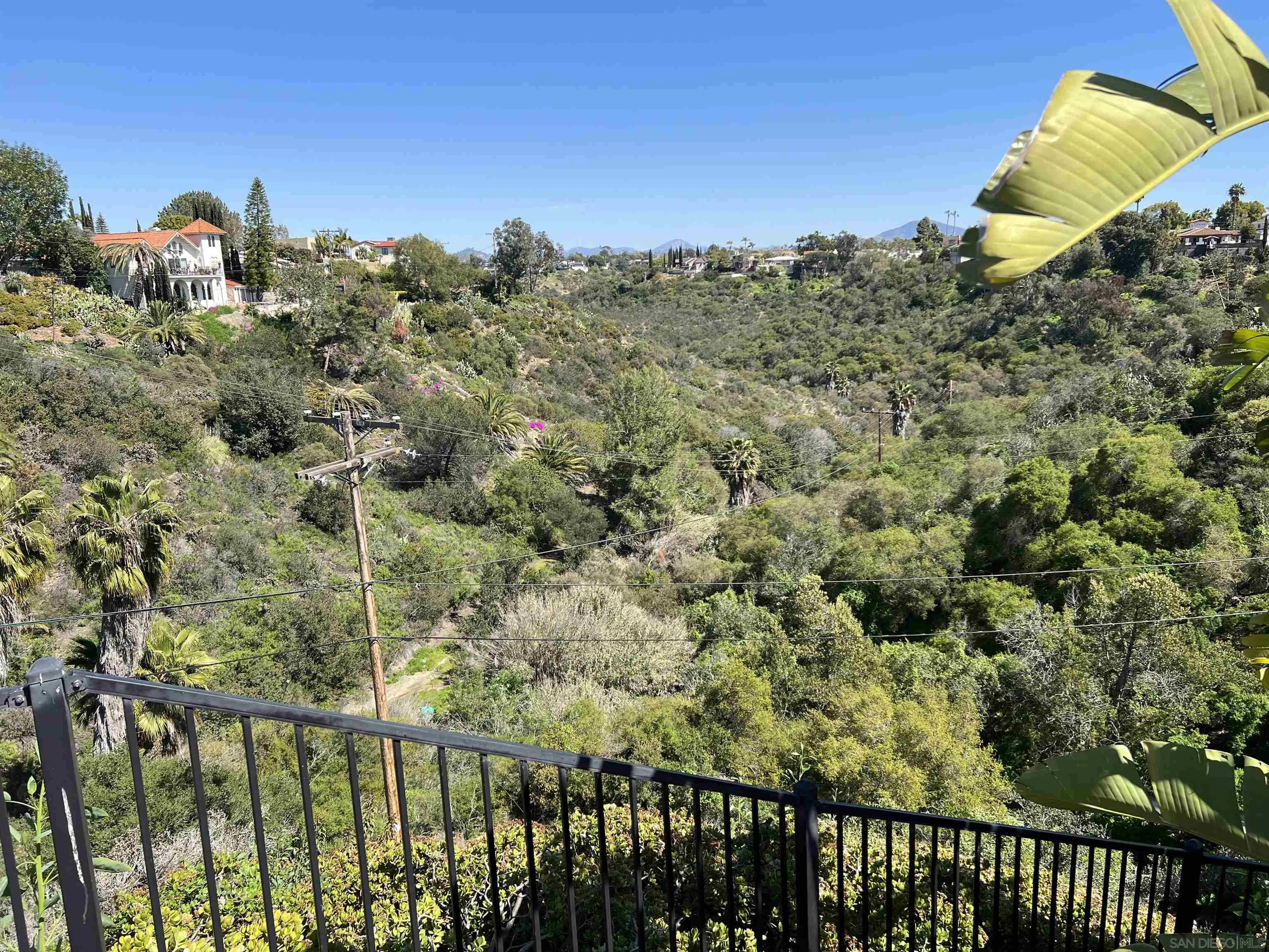 4196 Rochester Road San Diego, CA 92116 - Photo 55 of 72 a view of a yard