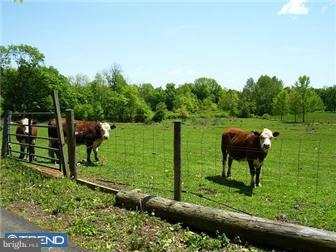 7806 Blue Church Road South Coopersburg, PA 18036 - Photo 2 of 12