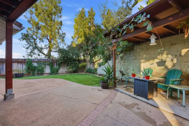 a view of backyard with plants and trees