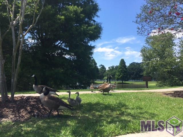 443 West Plantation Ridge Court Baton Rouge, LA 70810 - Photo 26 of 26 Neighborhood Pond- And Neighbors!