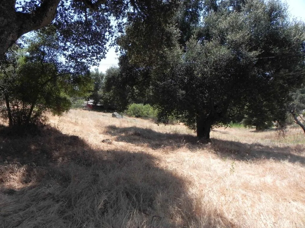 0 Arrowhead Descanso, CA 91916 - Photo 3 of 10