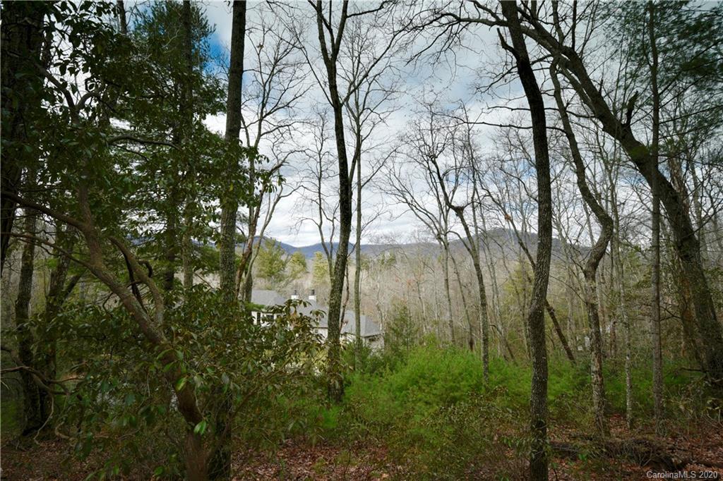 48 Dividing Ridge Trail Arden, NC 28704 - Photo 1 of 9 Gallery Image 1
