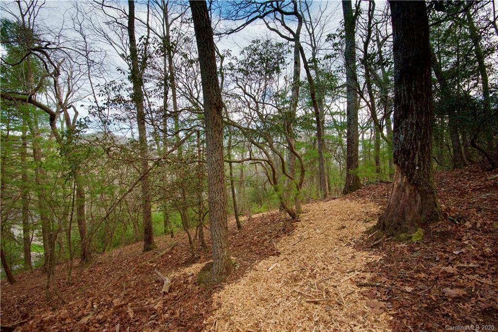 48 Dividing Ridge Trail Arden, NC 28704 - Photo 2 of 9 Gallery Image 2