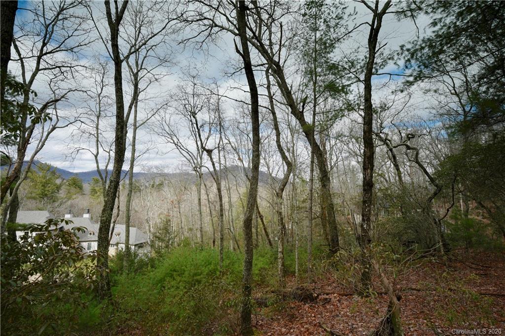 48 Dividing Ridge Trail Arden, NC 28704 - Photo 3 of 9 Gallery Image 3