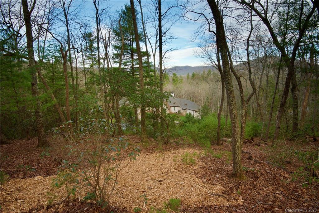 48 Dividing Ridge Trail Arden, NC 28704 - Photo 4 of 9 Gallery Image 4