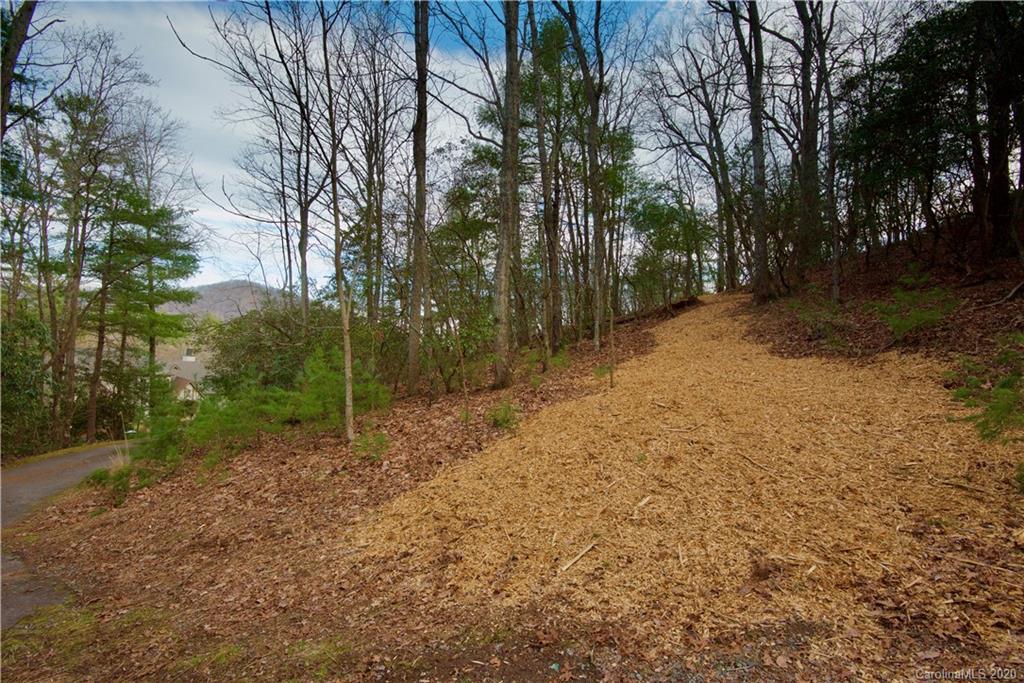 48 Dividing Ridge Trail Arden, NC 28704 - Photo 5 of 9 Gallery Image 5