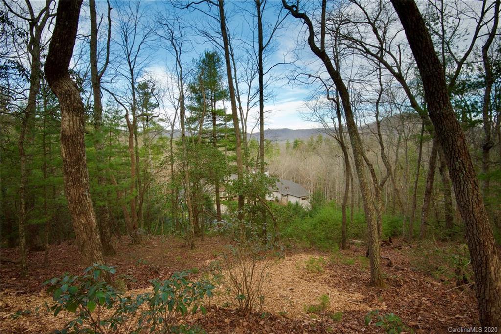 48 Dividing Ridge Trail Arden, NC 28704 - Photo 6 of 9 Gallery Image 6