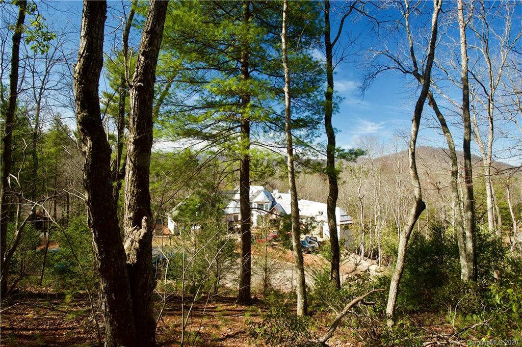 48 Dividing Ridge Trail Arden, NC 28704 - Photo 8 of 9 Gallery Image 8