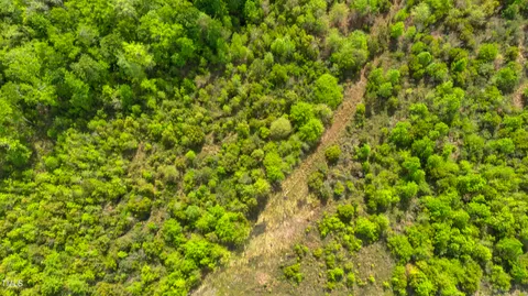 a view of a lush green field