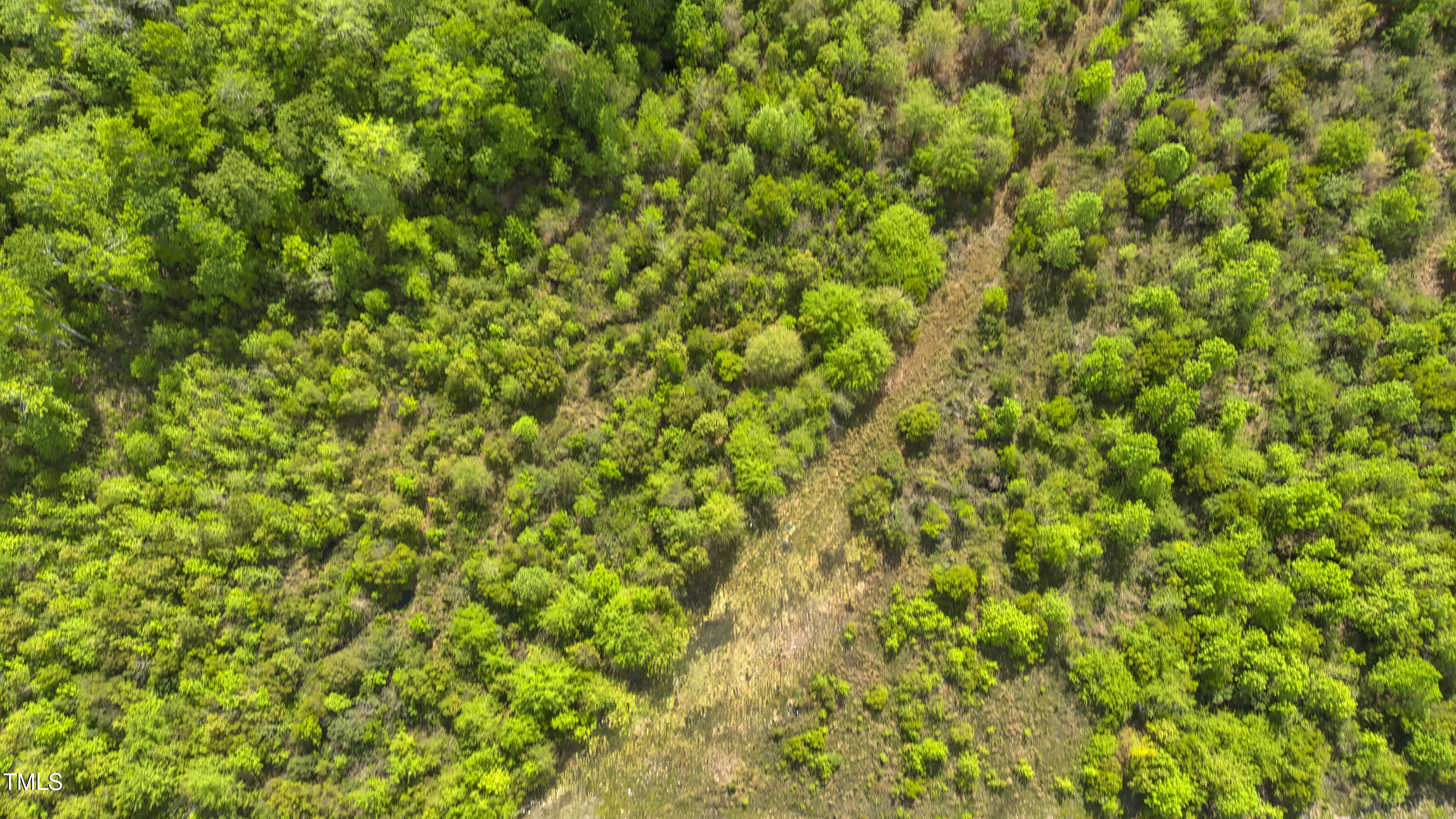 a view of a lush green field