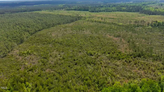 a view of a field of grass and trees