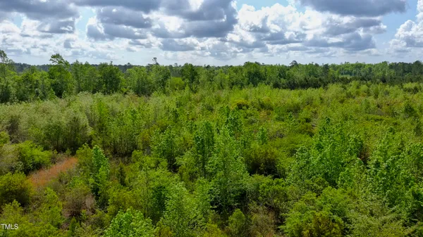 a view of a city and a lots of trees