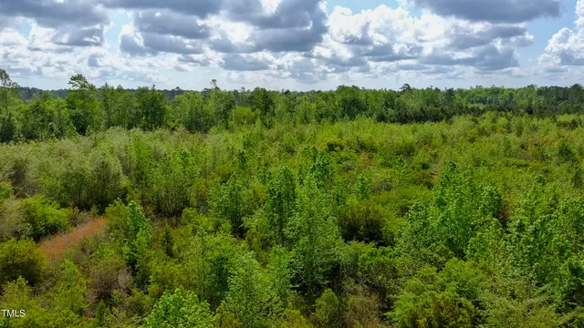 a view of a city and a lots of trees