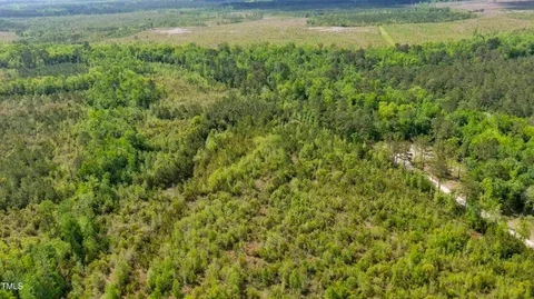 a view of a field of grass and trees