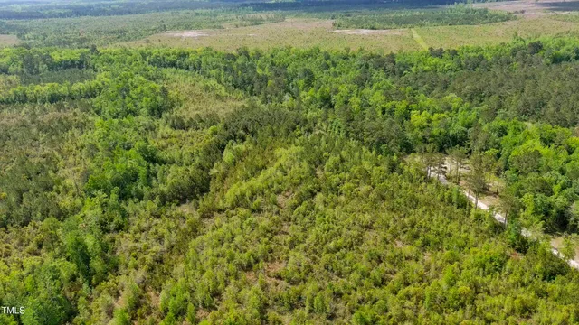 a view of a field of grass and trees