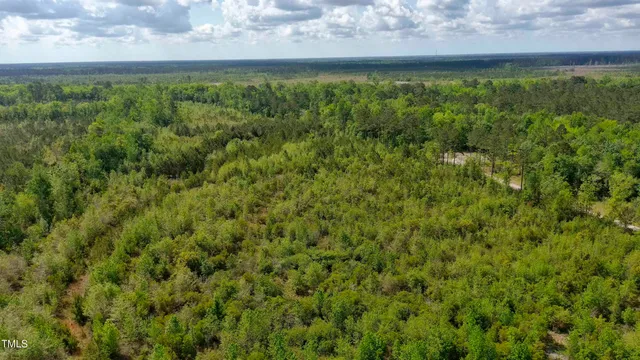 a view of a yard with an outdoor space
