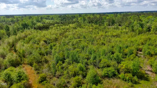 a view of a field of grass and trees