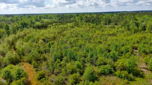 a view of a field of grass and trees