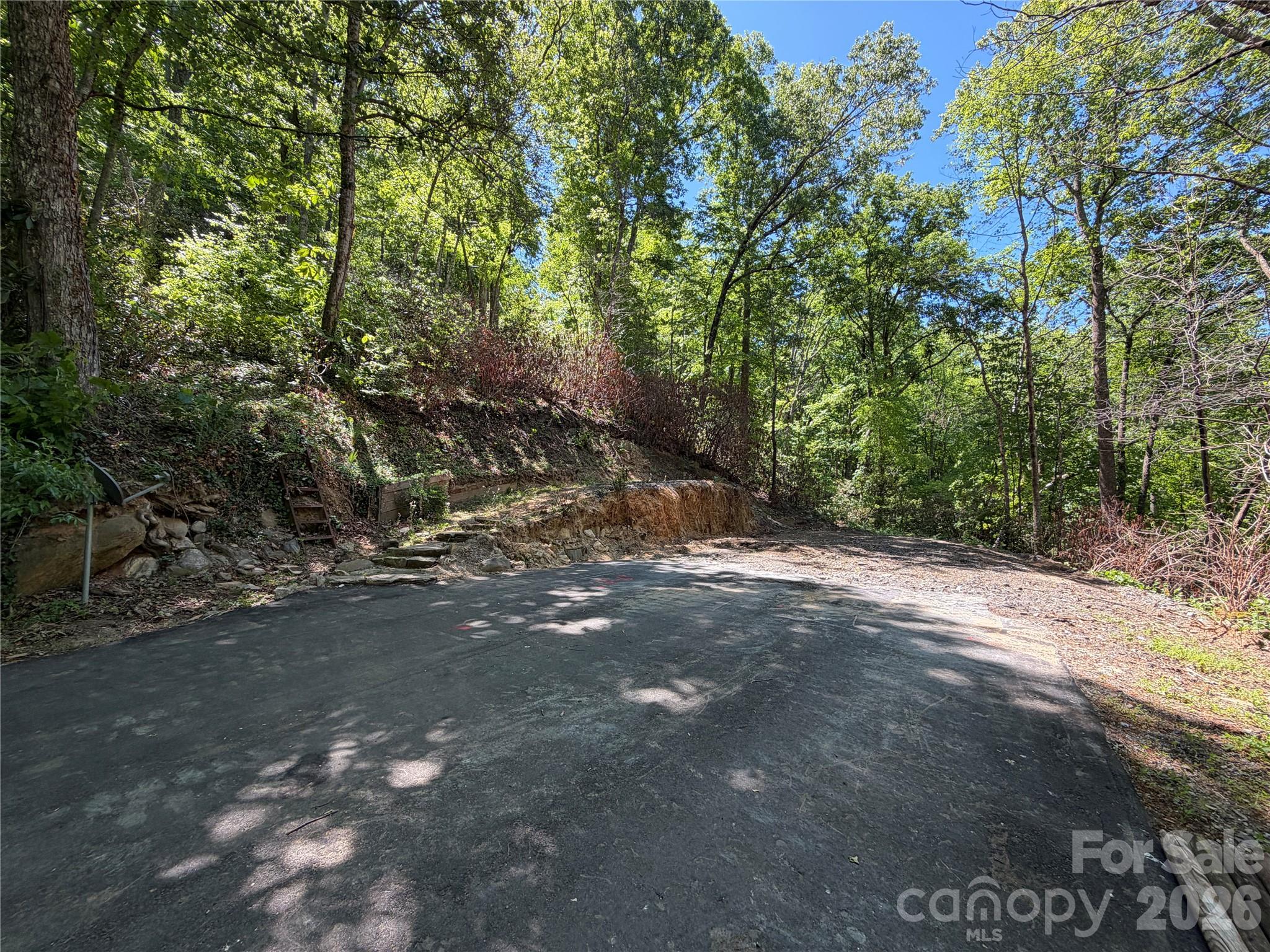 25 Buck Ridge Road Fairview, NC 28730 - Photo 5 of 27 Gallery Image 5