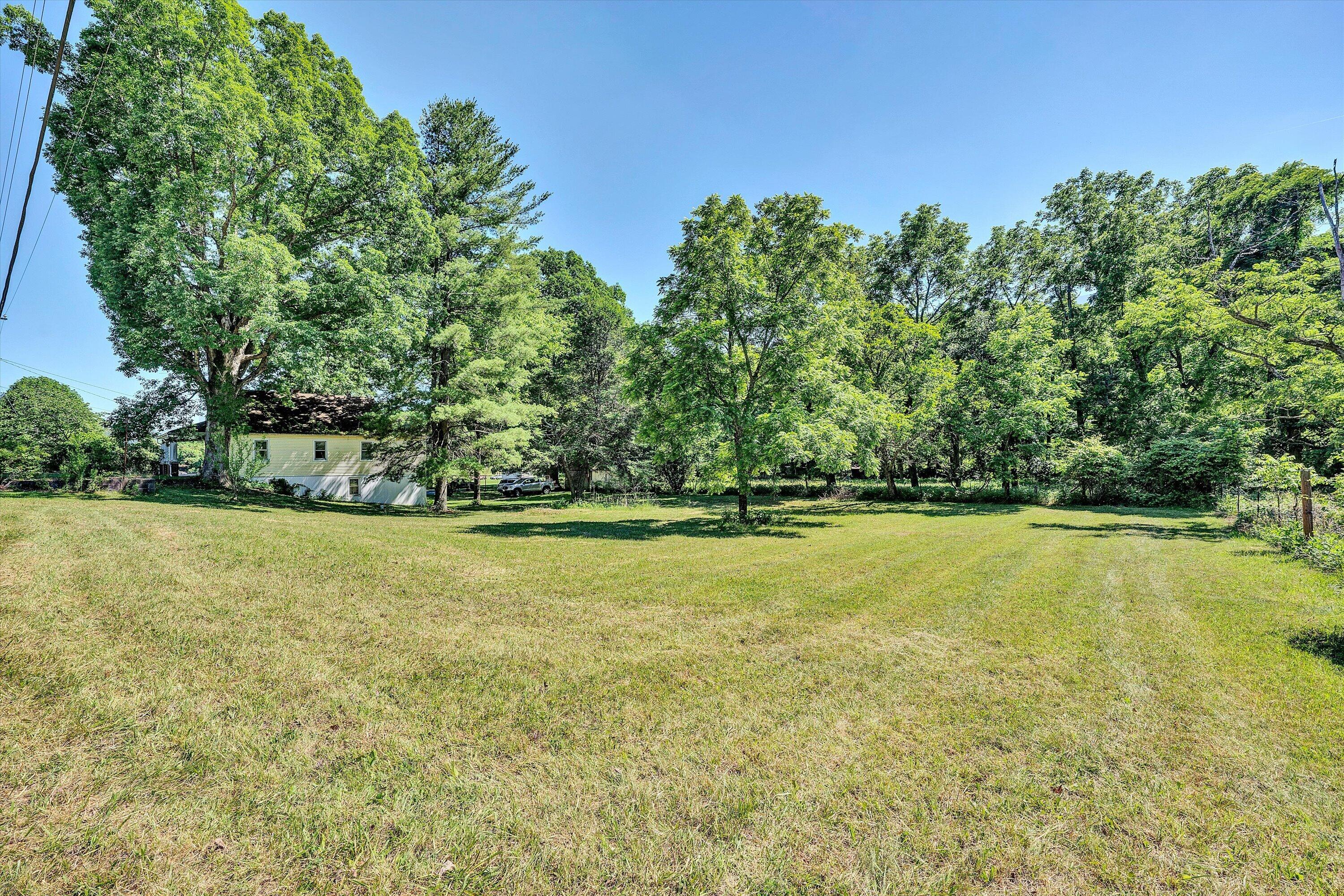 2241 Blue Ridge Springs Road Blue Ridge, VA 24064 - Photo 21 of 28 Land view