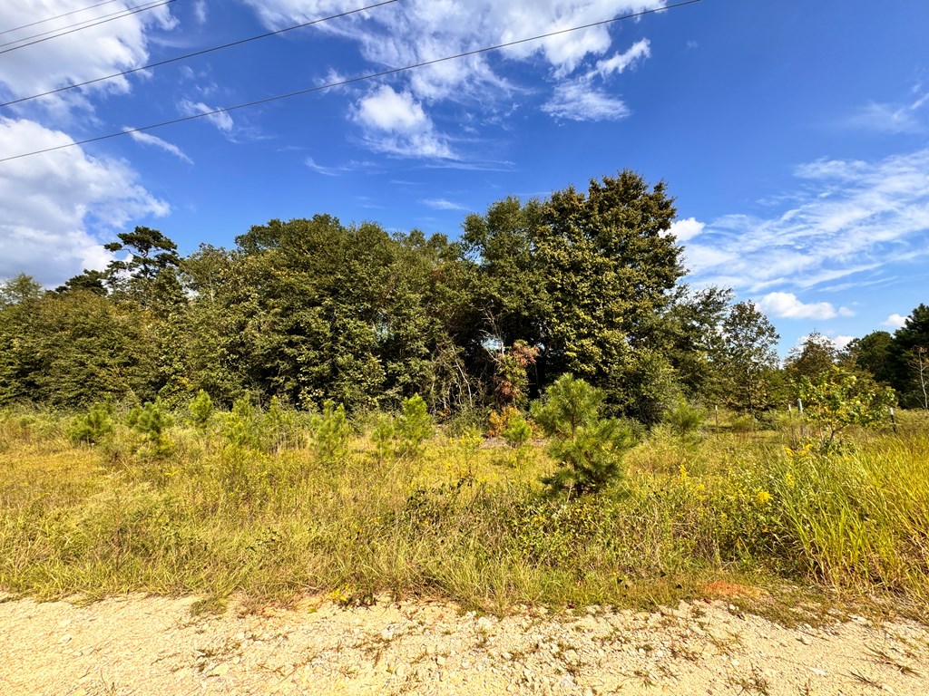 0 Hwy 123 & Co Road Ozark, AL 36360 - Photo 3 of 4