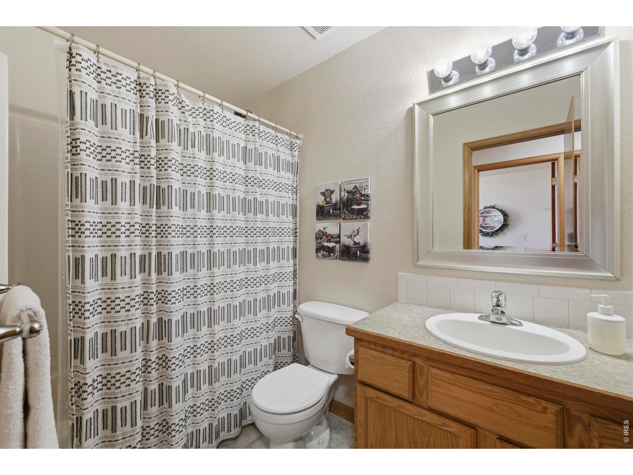 331 South Maple Avenue Eaton, CO 80615 - Photo 23 of 40 a bathroom with a sink toilet and shower