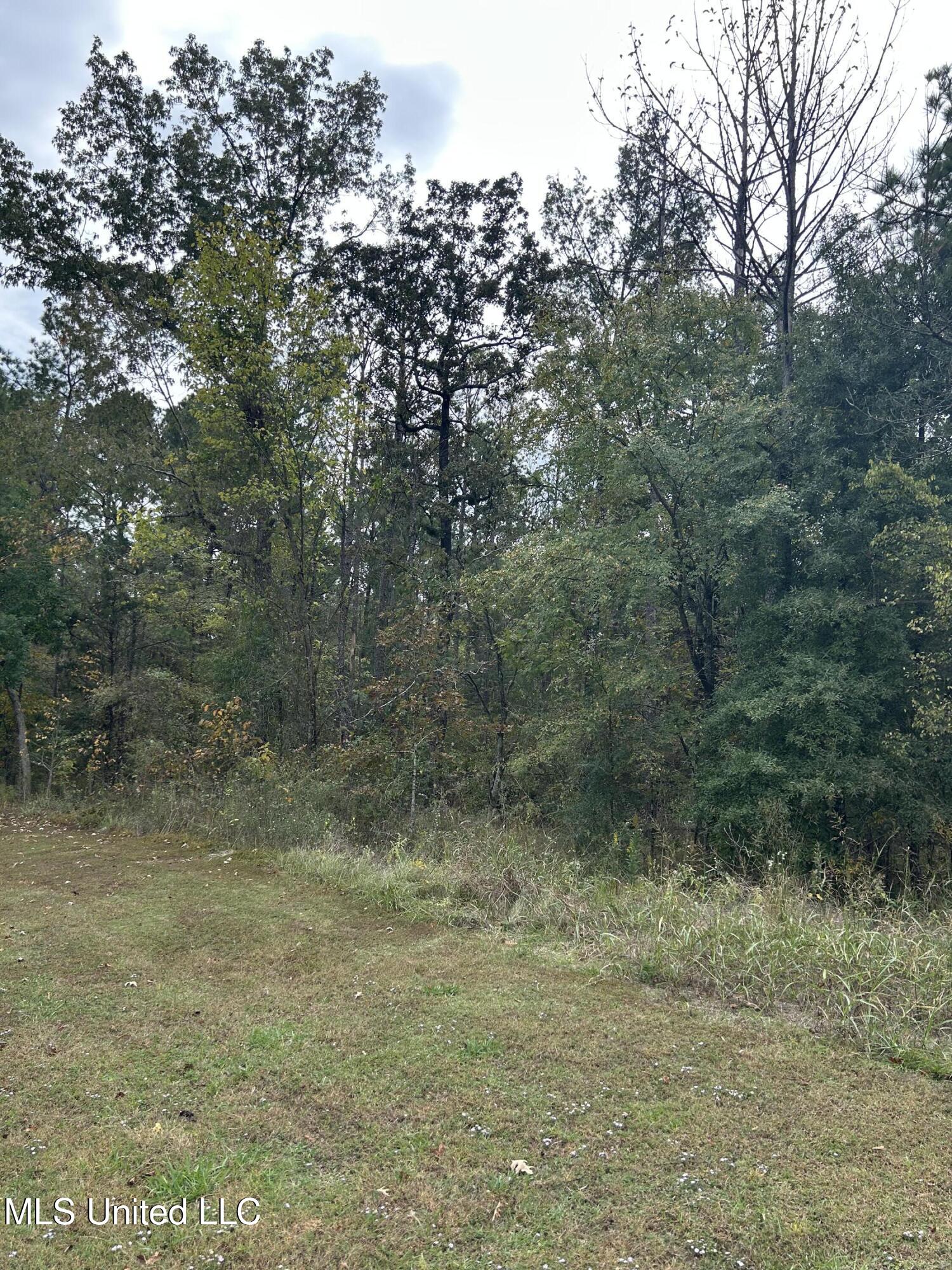 Tbd Old Fannin Road Brandon, MS 39047 - Photo 2 of 10 IMG_3300
