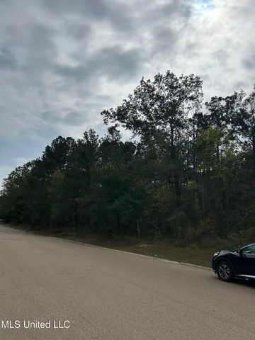 $1,375,000 | Tbd Old Fannin Road, Brandon, MS 39047