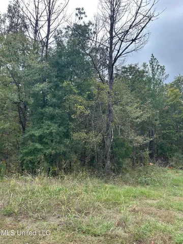 $1,375,000 | Tbd Old Fannin Road, Brandon, MS 39047