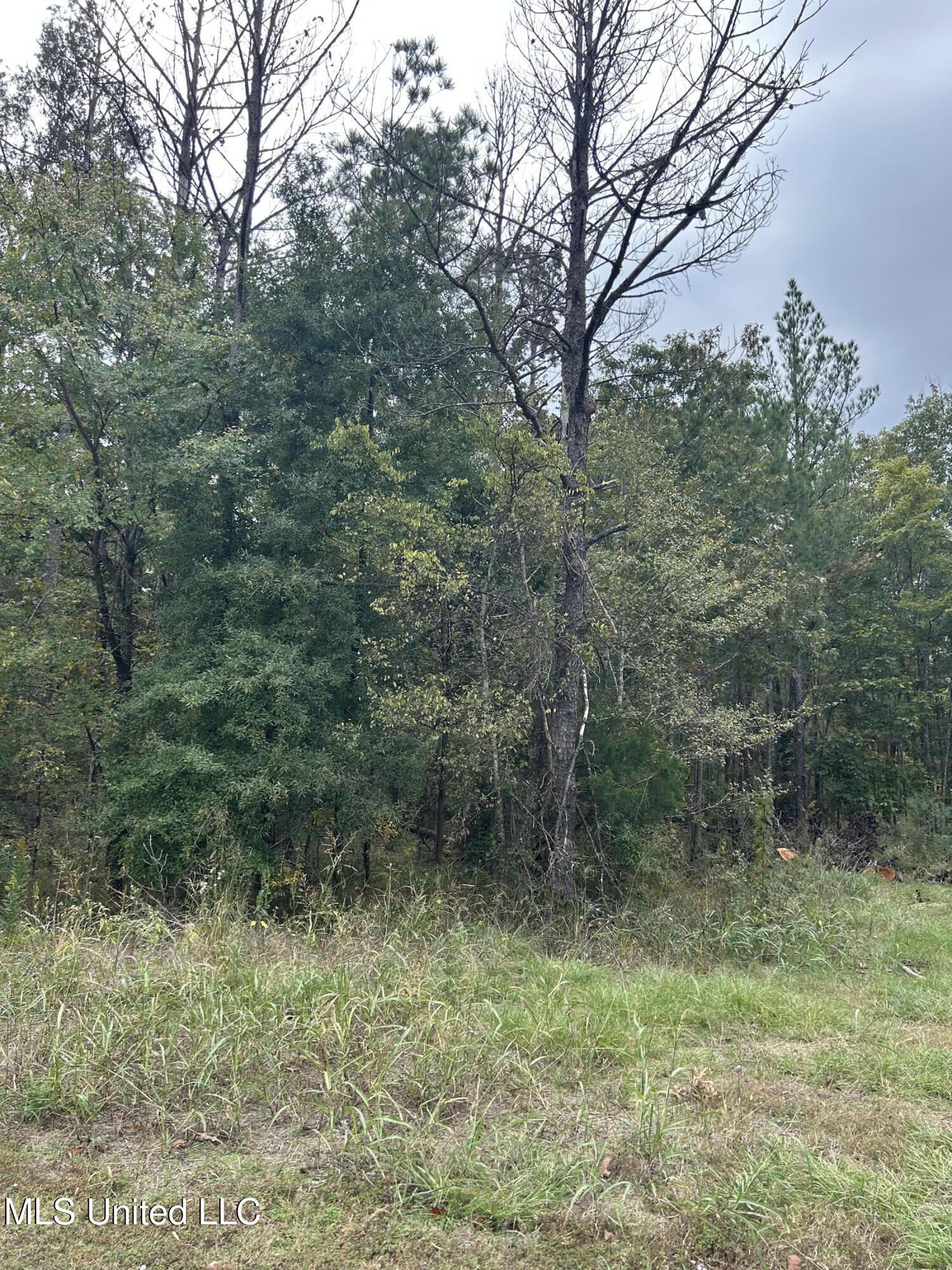 Tbd Old Fannin Road Brandon, MS 39047 - Photo 10 of 10 IMG_3303