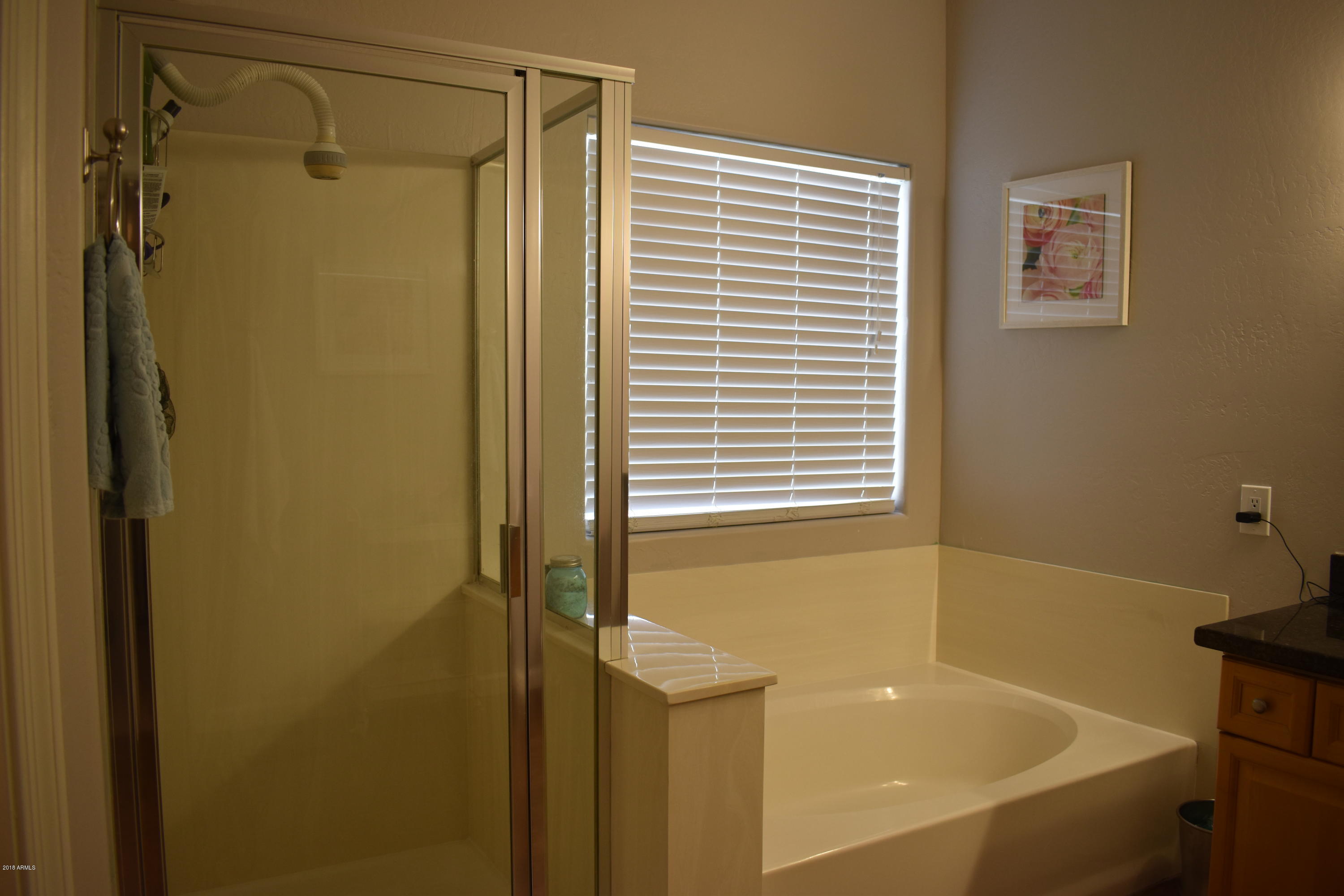 1252 East Redfield Road Phoenix, AZ 85022 - Photo 22 of 29 Master Shower & Tub