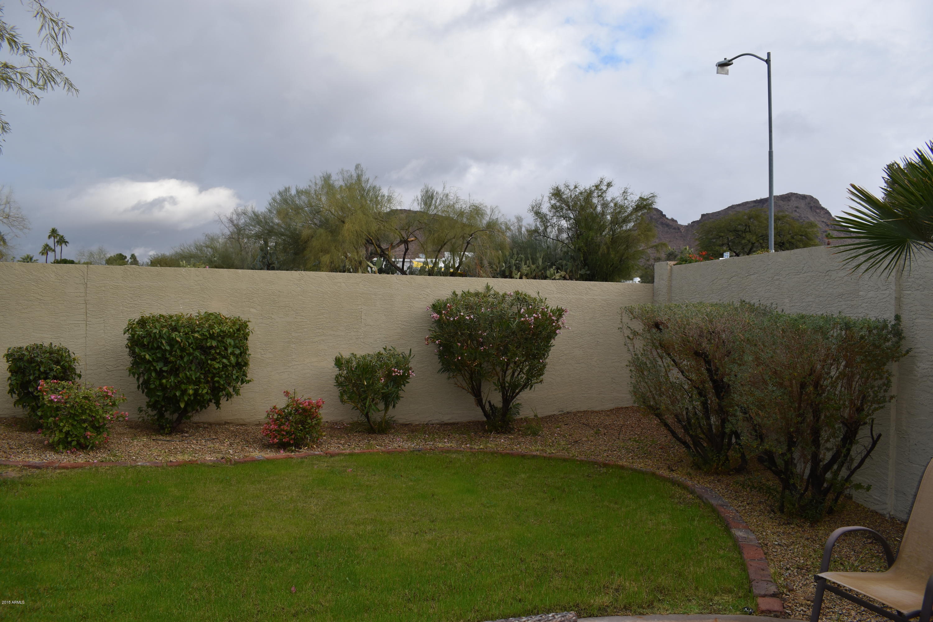 1252 East Redfield Road Phoenix, AZ 85022 - Photo 26 of 29 Backyard Mountain Views
