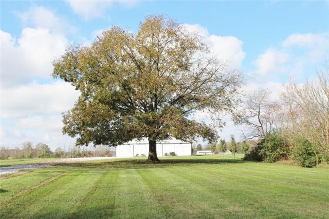 7239 Maple Springs Road Manchester, TN 37355 - Photo 16 of 20 BARN
