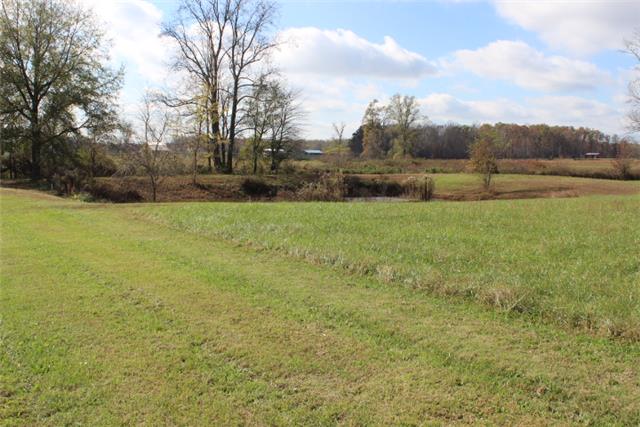 7239 Maple Springs Road Manchester, TN 37355 - Photo 18 of 20 POND
