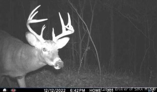 7480 Triplett Road Rome, IN 47574 - Photo 11 of 15 Trail cam photos