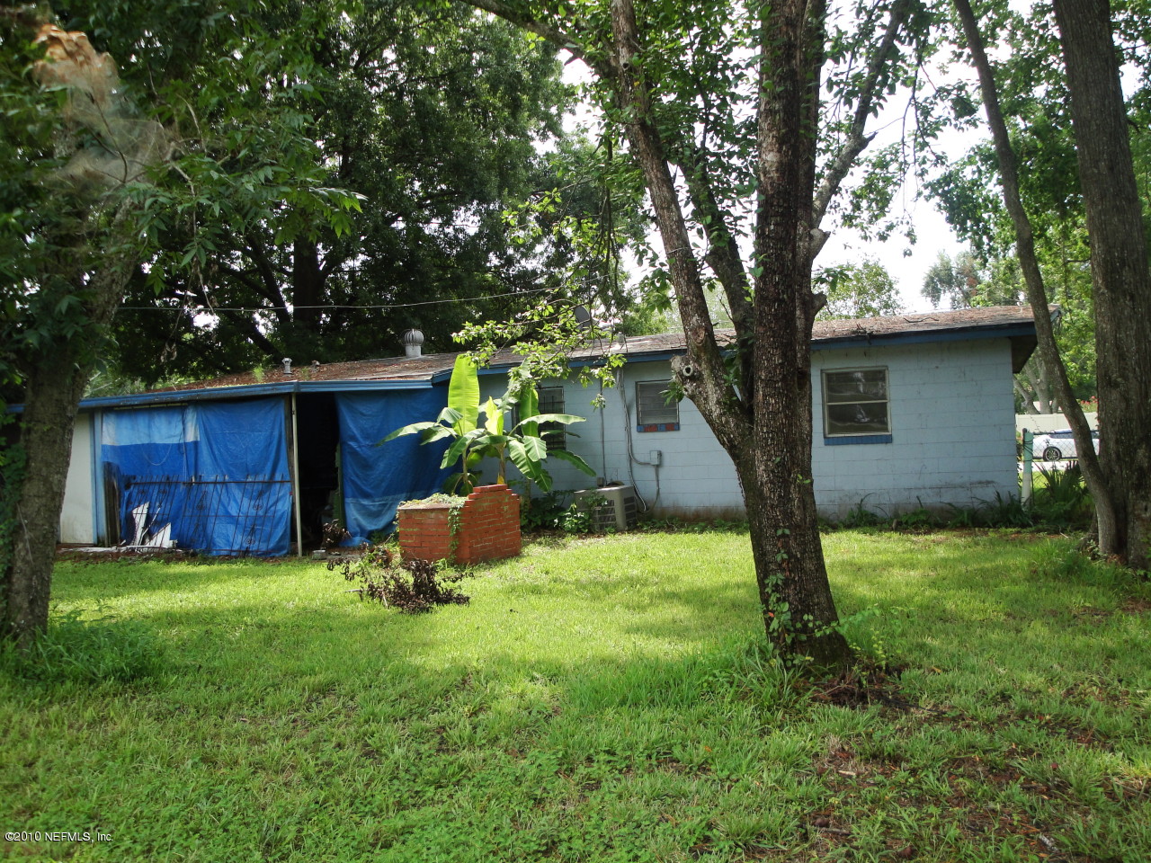 5541 Beney Road Jacksonville, FL 32207 - Photo 11 of 15 a garden with trees in front of it