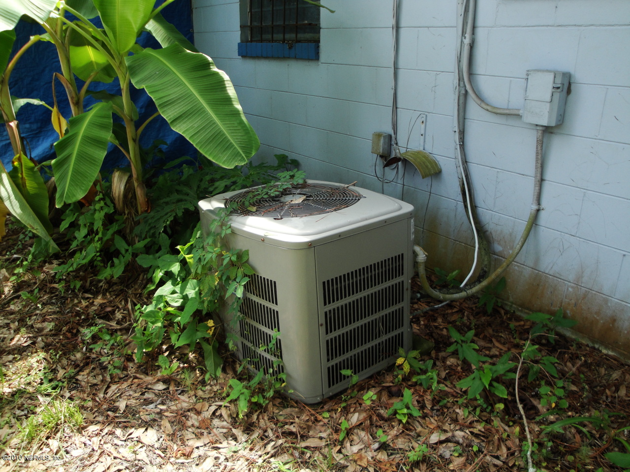 5541 Beney Road Jacksonville, FL 32207 - Photo 12 of 15 a view of a backyard