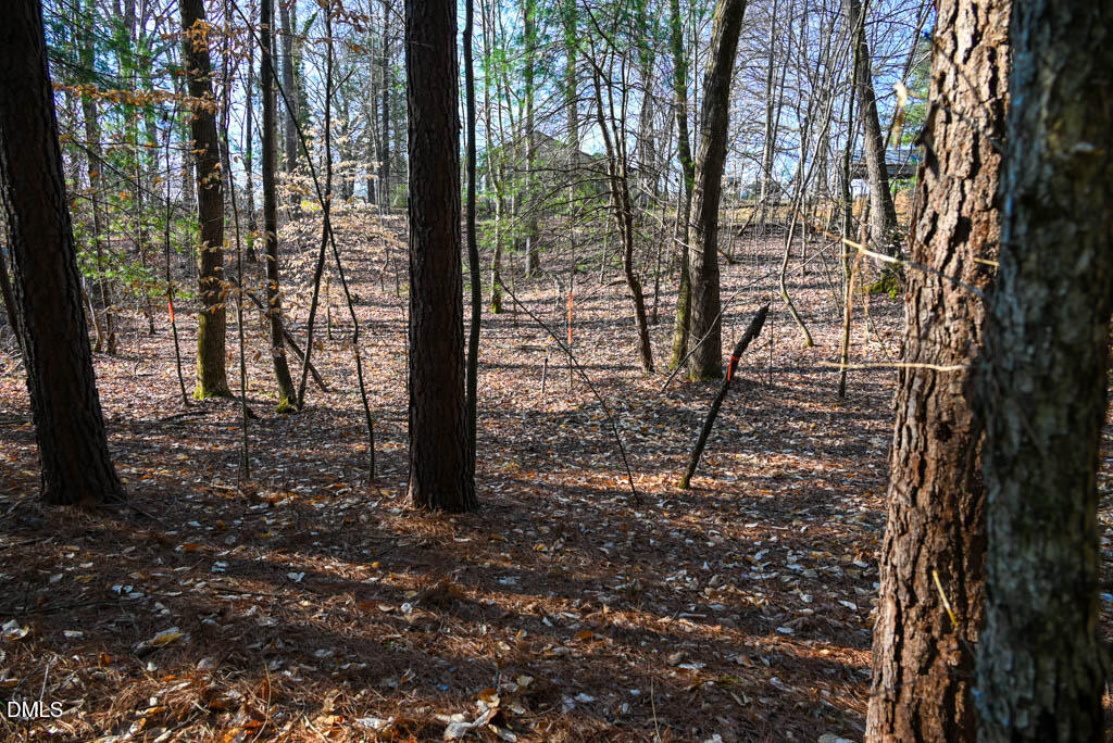 0 K Fork Road Madison, NC 27025 - Photo 25 of 36 MAD_7584