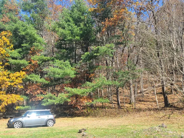 a view of outdoor space and yard