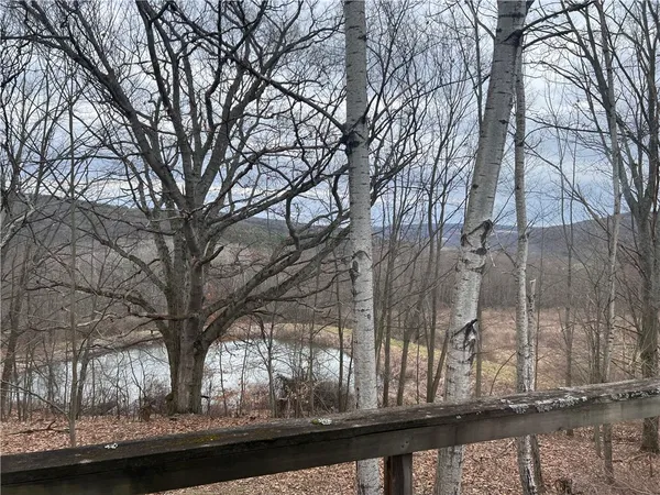 $1,100,000 | 1972 Monegan Road, Burns, NY 14822