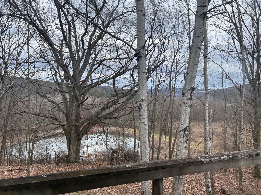 1972 Monegan Road Burns, NY 14822 - Photo 19 of 50