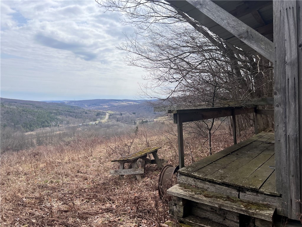1972 Monegan Road Burns, NY 14822 - Photo 37 of 50