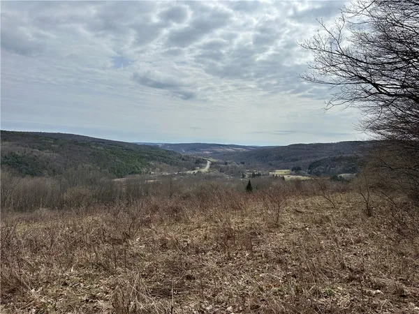 $1,100,000 | 1972 Monegan Road, Burns, NY 14822